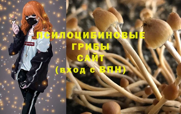 трава Зеленокумск